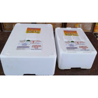 SOĞUK ZİNCİR KÖPÜK KUTU +1 adet buz aküsü 10kg Ağırlık için 145 tl