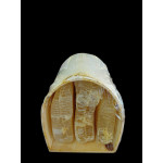 BOZYİĞİT TÜNEL KARAKOVAN BALI 3,200 GR