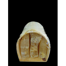 BOZYİĞİT TÜNEL KARAKOVAN BALI 3,200 GR