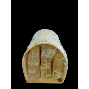 BOZYİĞİT TÜNEL KARAKOVAN BALI 3,200 GR